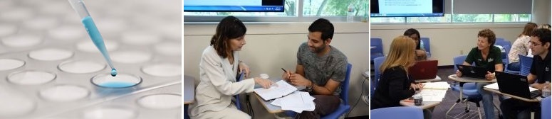 Doctor of Public Health (DrPH)